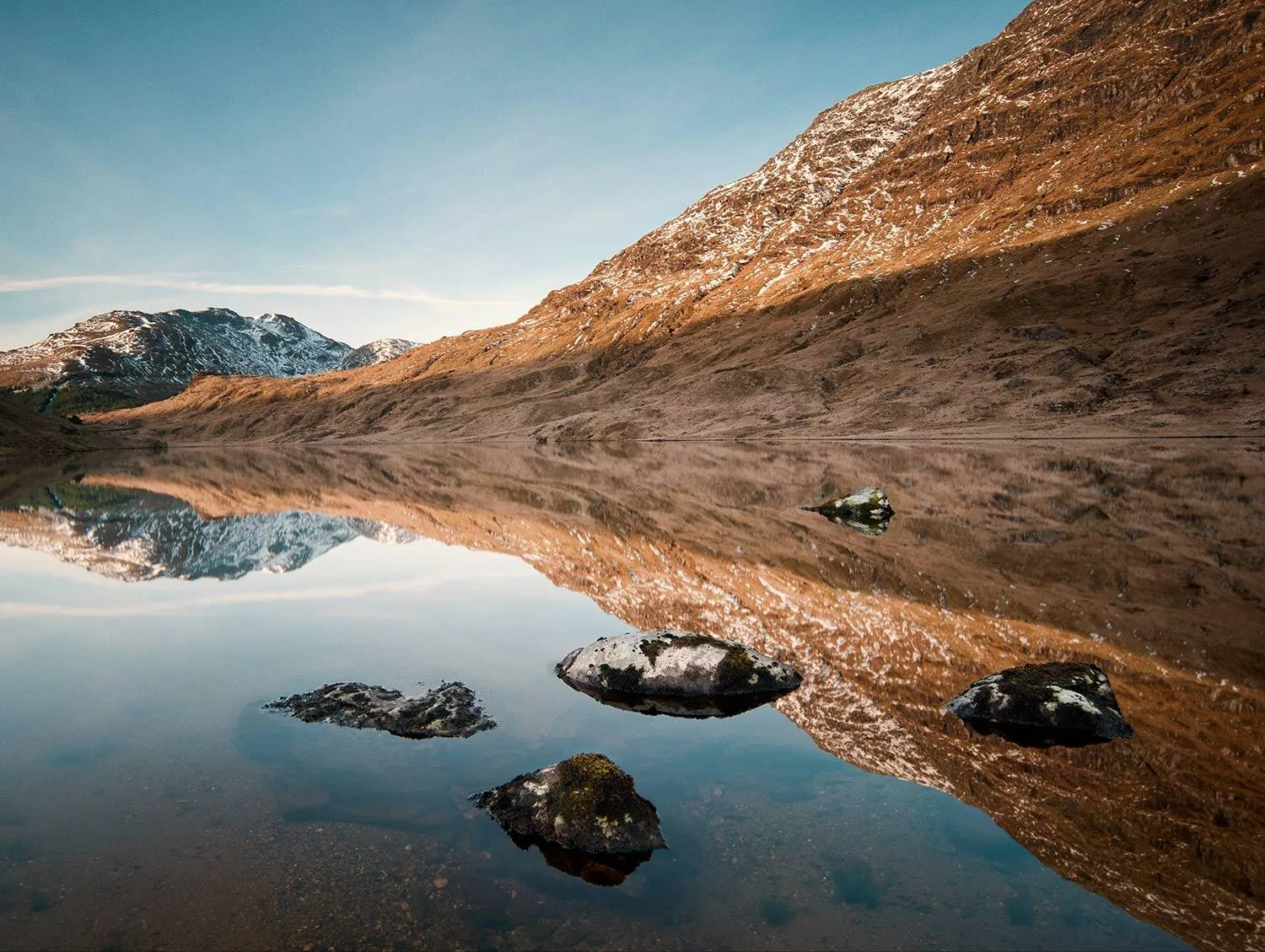 Éxito del Emprendimiento en Chile